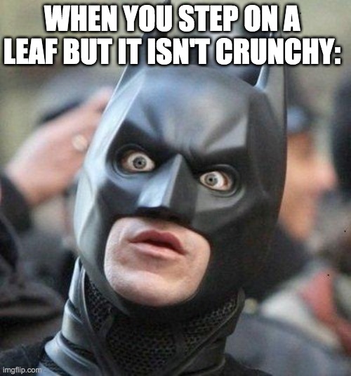 nani? | WHEN YOU STEP ON A LEAF BUT IT ISN'T CRUNCHY: | image tagged in shocked batman | made w/ Imgflip meme maker
