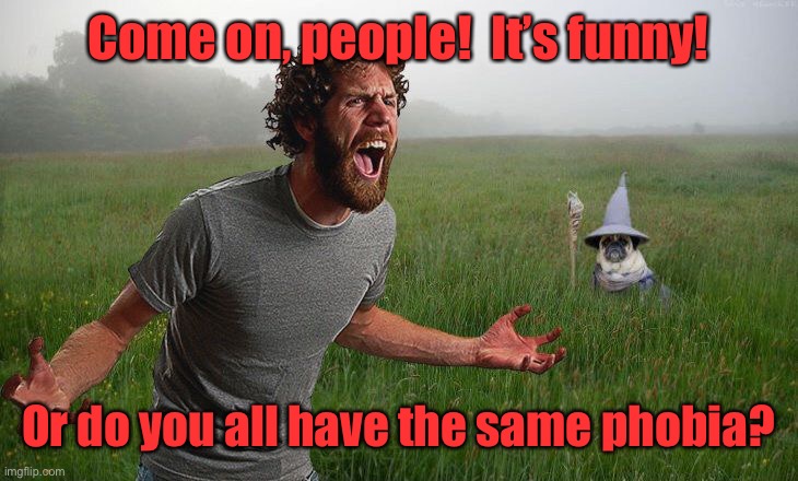 Oh come on | Come on, people!  It’s funny! Or do you all have the same phobia? | image tagged in oh come on | made w/ Imgflip meme maker