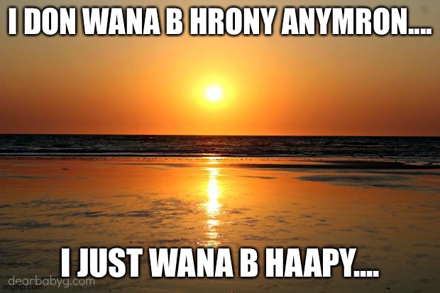 beach sunset | I DON WANA B HRONY ANYMRON.... I JUST WANA B HAAPY.... | image tagged in beach sunset,yes this is a joke | made w/ Imgflip meme maker