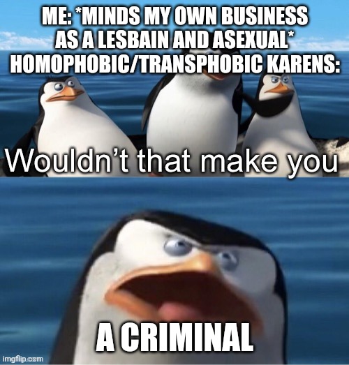 Wouldn’t that make you | ME: *MINDS MY OWN BUSINESS AS A LESBAIN AND ASEXUAL*
HOMOPHOBIC/TRANSPHOBIC KARENS:; A CRIMINAL | image tagged in wouldn t that make you | made w/ Imgflip meme maker