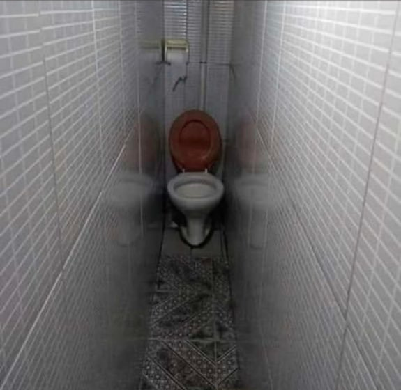 toilet Blank Meme Template