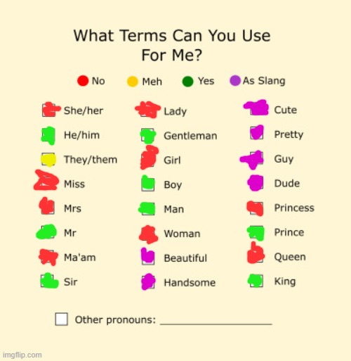 i did it | image tagged in pronouns sheet | made w/ Imgflip meme maker