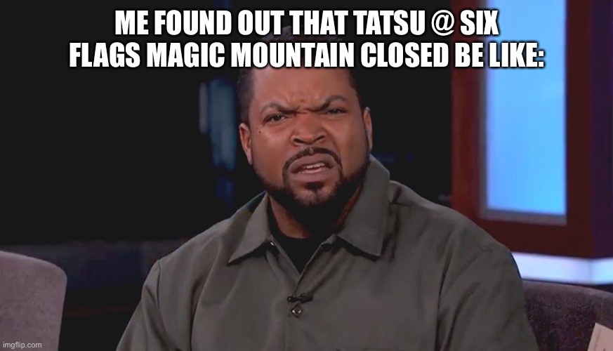 Tatsu is still closed | ME FOUND OUT THAT TATSU @ SIX FLAGS MAGIC MOUNTAIN CLOSED BE LIKE: | image tagged in really ice cube,six flags,memes,bruh | made w/ Imgflip meme maker