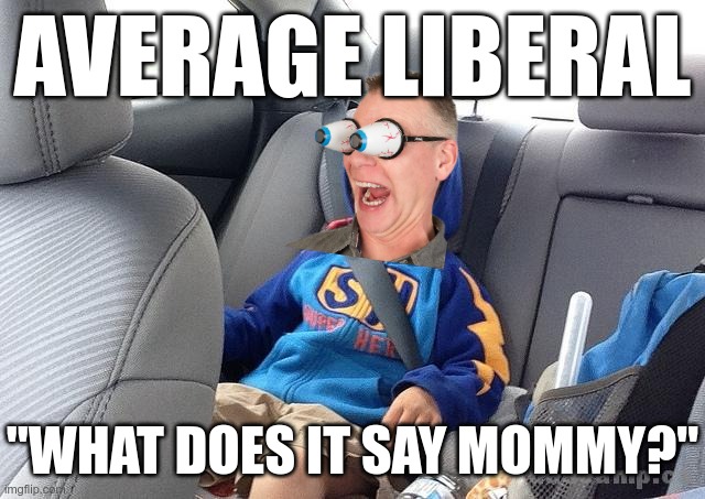 Backseat Kid | AVERAGE LIBERAL "WHAT DOES IT SAY MOMMY?" | image tagged in backseat kid | made w/ Imgflip meme maker