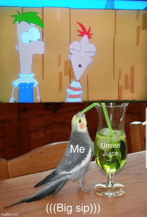 Oh god | image tagged in unsee juice,phineas and ferb,memes,funny | made w/ Imgflip meme maker