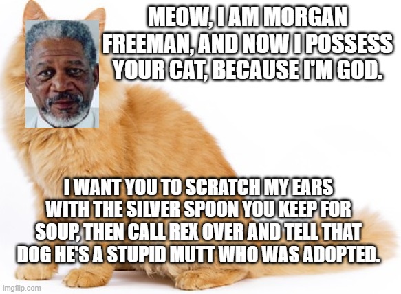 When suddenly... | MEOW, I AM MORGAN FREEMAN, AND NOW I POSSESS YOUR CAT, BECAUSE I'M GOD. I WANT YOU TO SCRATCH MY EARS WITH THE SILVER SPOON YOU KEEP FOR SOUP, THEN CALL REX OVER AND TELL THAT DOG HE'S A STUPID MUTT WHO WAS ADOPTED. | image tagged in morgan freeman possessing a cat,this thursday got weird | made w/ Imgflip meme maker