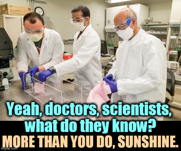 Everybody's entitled to an opinion, but not all opinions are equally valid. | Yeah, doctors, scientists, 
what do they know? MORE THAN YOU DO, SUNSHINE. | image tagged in doctors,scientists,smart,conspiracy theories,dumb | made w/ Imgflip meme maker