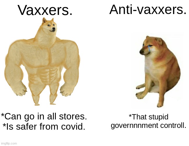 Buff Doge vs. Cheems Meme | Vaxxers. Anti-vaxxers. *Can go in all stores. *Is safer from covid. *That stupid governnnment controll. | image tagged in memes,buff doge vs cheems | made w/ Imgflip meme maker
