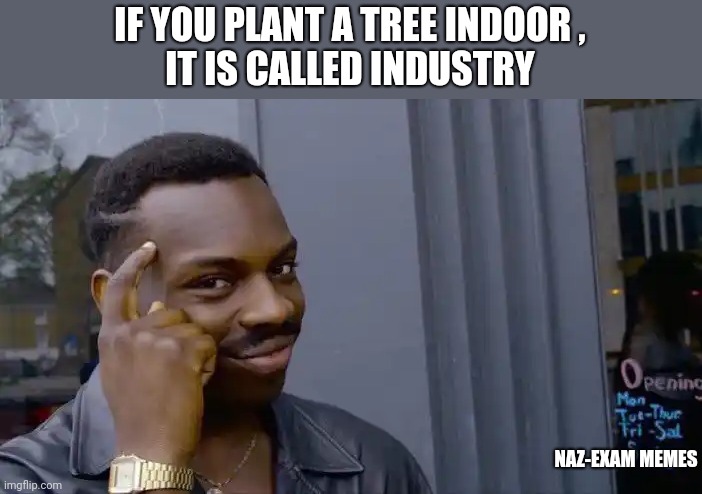 Roll Safe Think About It Meme | IF YOU PLANT A TREE INDOOR ,
IT IS CALLED INDUSTRY; NAZ-EXAM MEMES | image tagged in memes,roll safe think about it | made w/ Imgflip meme maker