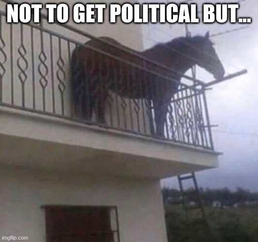 l a u g h | NOT TO GET POLITICAL BUT... | image tagged in juan,memes,funny | made w/ Imgflip meme maker