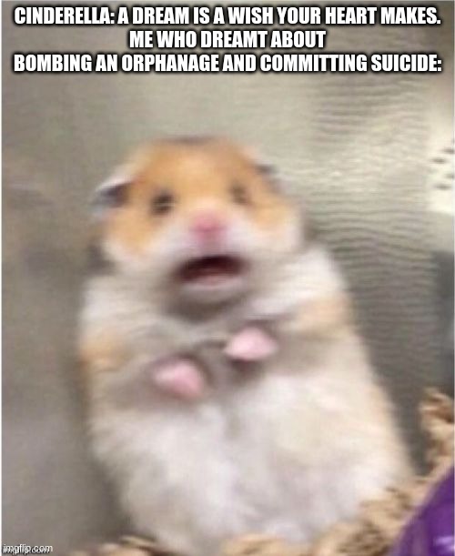 Guess ill die. | CINDERELLA: A DREAM IS A WISH YOUR HEART MAKES.
ME WHO DREAMT ABOUT BOMBING AN ORPHANAGE AND COMMITTING SUICIDE: | image tagged in scared hamster | made w/ Imgflip meme maker