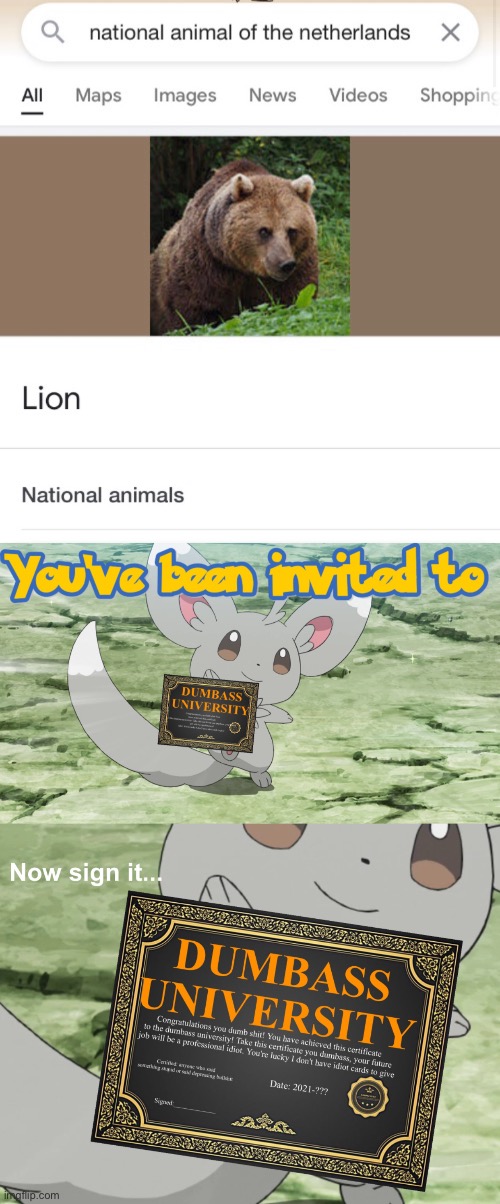 Whoever made this is quite stupid | image tagged in you've been invited to dumbass university,bear,lion,animals,memes | made w/ Imgflip meme maker