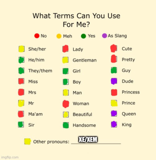 Pronouns Sheet | XE/XEM | image tagged in pronouns sheet | made w/ Imgflip meme maker