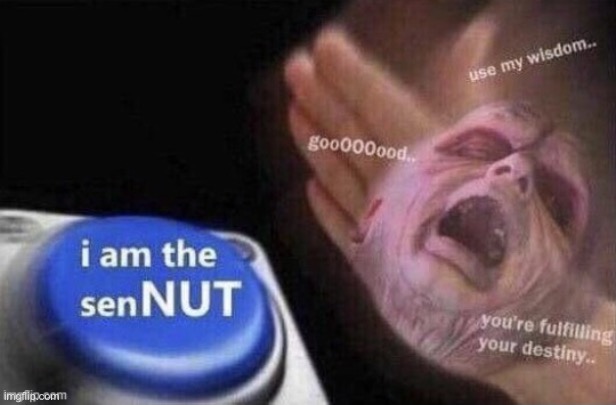 senNUT’s wisdom | image tagged in sennut s wisdom | made w/ Imgflip meme maker