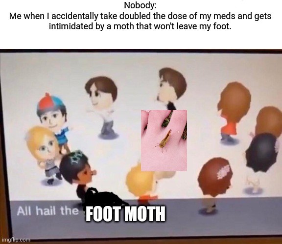 Foot moth is my new lord and savior. | Nobody:
Me when I accidentally take doubled the dose of my meds and gets intimidated by a moth that won't leave my foot. FOOT MOTH | image tagged in all hail the garlic | made w/ Imgflip meme maker