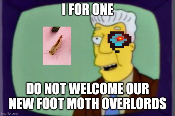 The last foot moth meme | I FOR ONE; DO NOT WELCOME OUR NEW FOOT MOTH OVERLORDS | image tagged in simpsons i for one welcome | made w/ Imgflip meme maker
