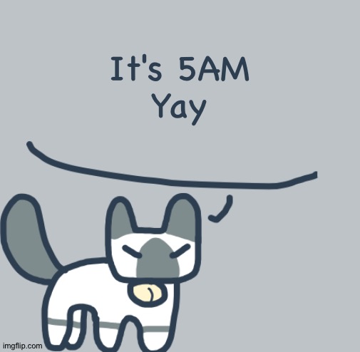 Cat | It's 5AM
Yay | image tagged in cat | made w/ Imgflip meme maker