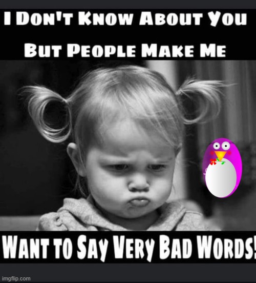 Very bad words ! - Imgflip