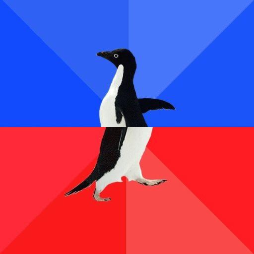High Quality Socially Awkward Penguin Blank Meme Template