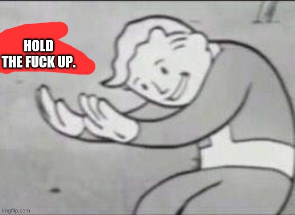 Fallout Hold Up | HOLD THE FUCK UP. | image tagged in fallout hold up | made w/ Imgflip meme maker