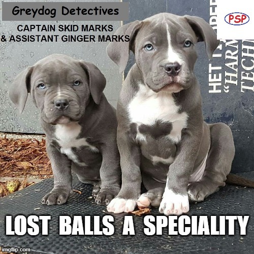 Greydog Detectives | image tagged in balls | made w/ Imgflip meme maker