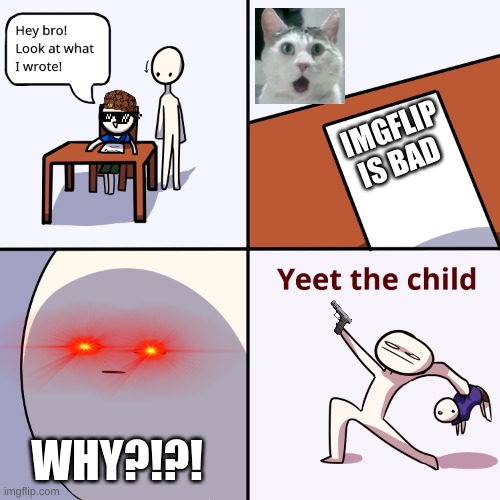Yeet the child | IMGFLIP IS BAD; WHY?!?! | image tagged in yeet the child | made w/ Imgflip meme maker