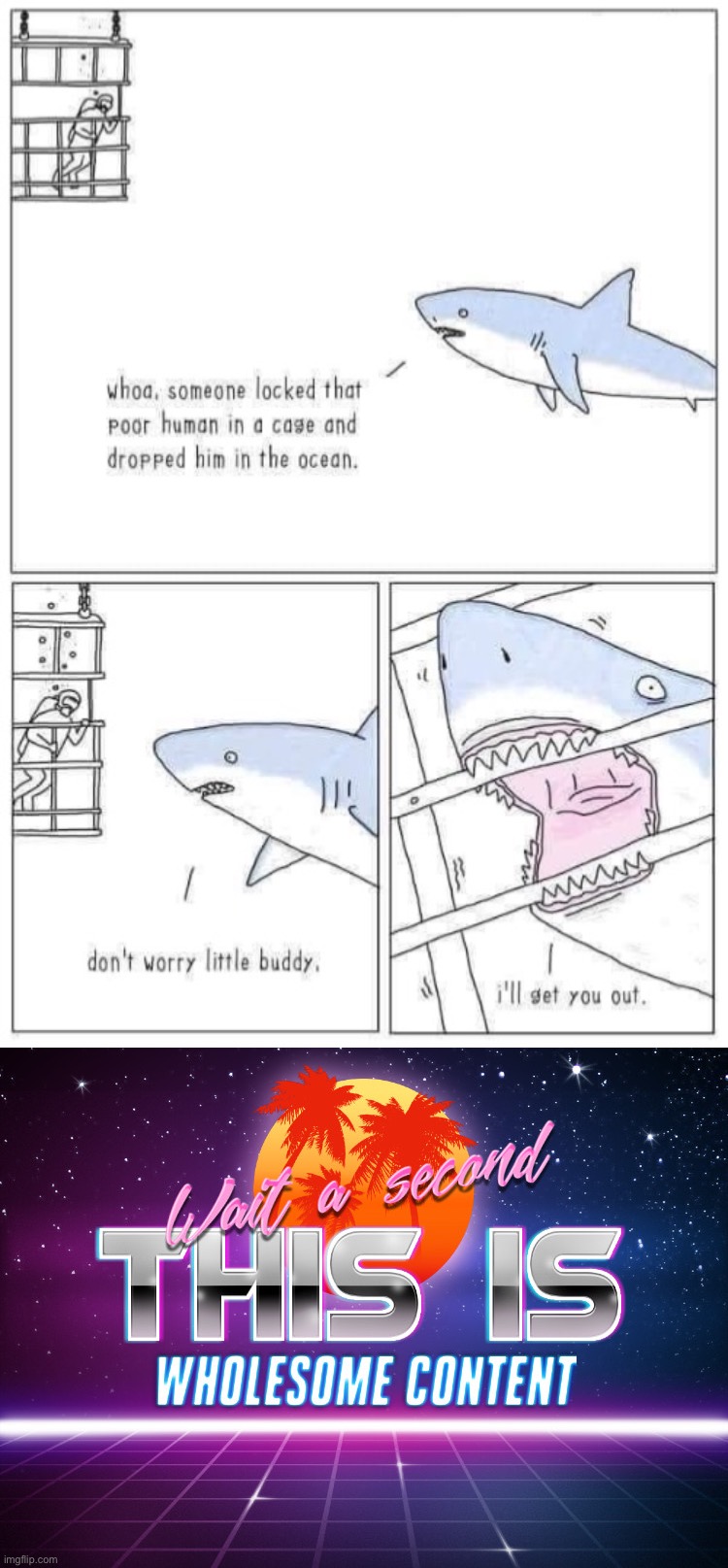 bruh | image tagged in shark rescues cage diver,wait a second this is wholesome content,shark,wholesome,comics/cartoons,wholesome content | made w/ Imgflip meme maker