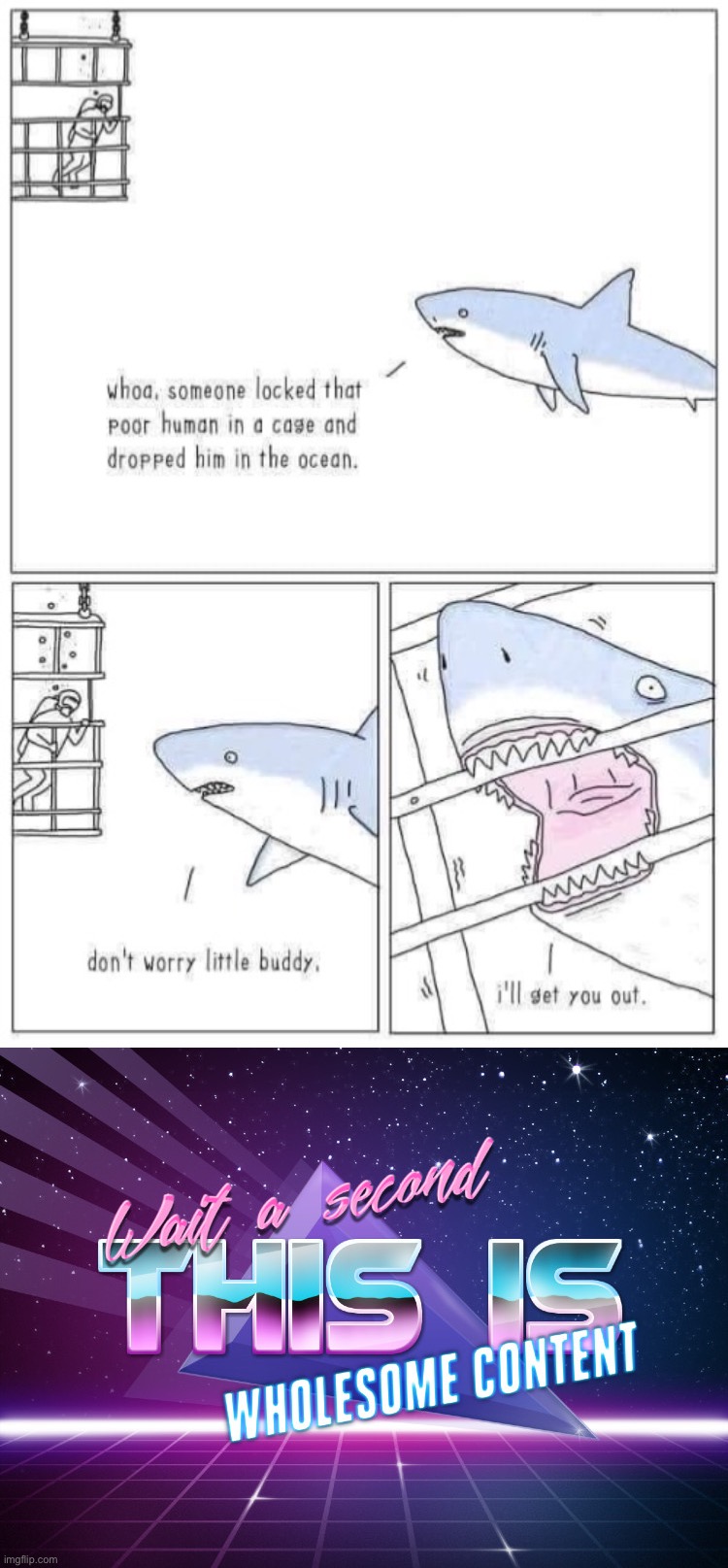 wot | image tagged in shark rescues cage diver,wait a second this is wholesome content | made w/ Imgflip meme maker