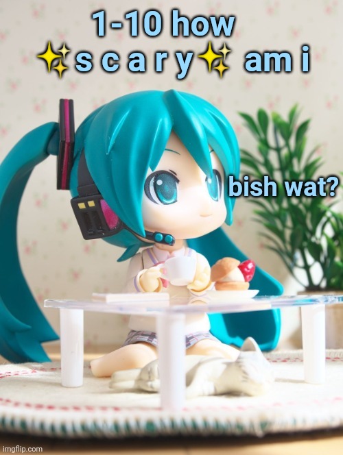 Bish wat? | 1-10 how   ✨s c a r y✨ am i | image tagged in bish wat | made w/ Imgflip meme maker