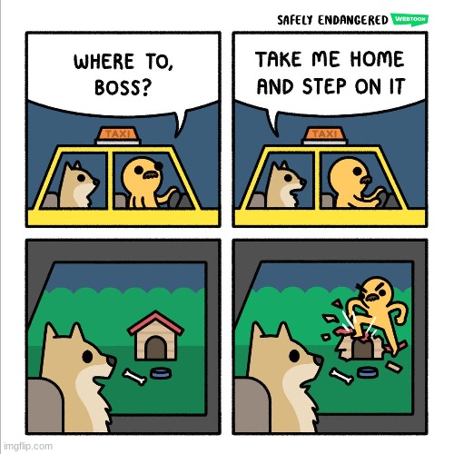 oh no | image tagged in comics/cartoons,literally,dog,taxi | made w/ Imgflip meme maker