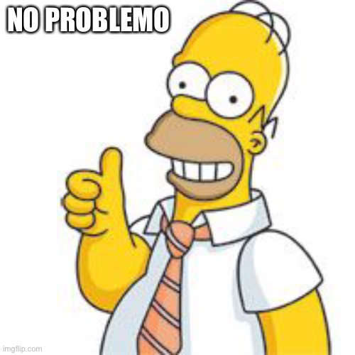 homer no problemo | NO PROBLEMO | image tagged in homer no problemo | made w/ Imgflip meme maker