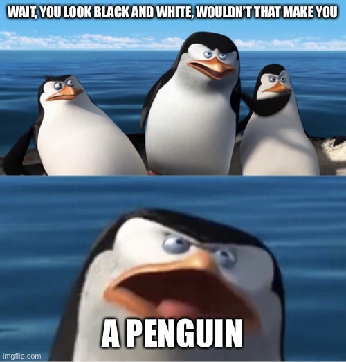 Wouldn't that make you | WAIT, YOU LOOK BLACK AND WHITE, WOULDN’T THAT MAKE YOU A PENGUIN | image tagged in wouldn't that make you | made w/ Imgflip meme maker