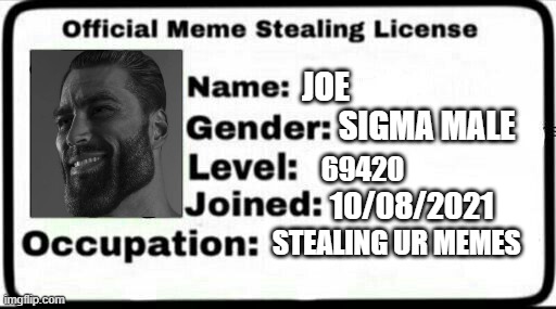 Meme Stealing License | JOE; SIGMA MALE; 69420; 10/08/2021; STEALING UR MEMES | image tagged in meme stealing license | made w/ Imgflip meme maker
