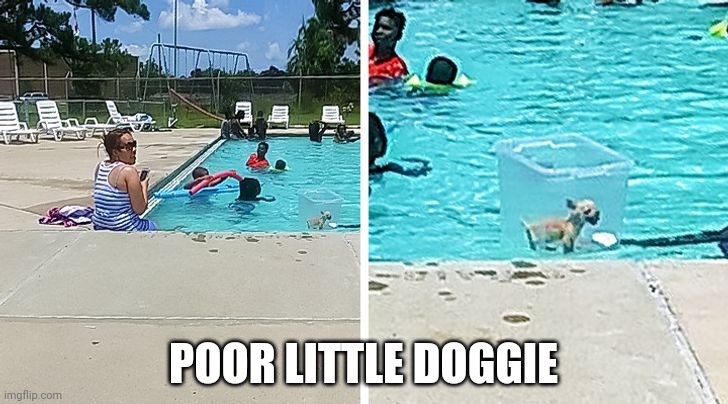 NOT SURE I SHOULD BE SAD OR GLAD | POOR LITTLE DOGGIE | image tagged in dogs,funny dogs | made w/ Imgflip meme maker