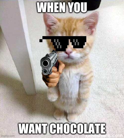 Cute Cat Meme | WHEN YOU; WANT CHOCOLATE | image tagged in memes,cute cat | made w/ Imgflip meme maker
