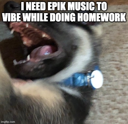 angy doggo | I NEED EPIK MUSIC TO VIBE WHILE DOING HOMEWORK | image tagged in angy doggo | made w/ Imgflip meme maker