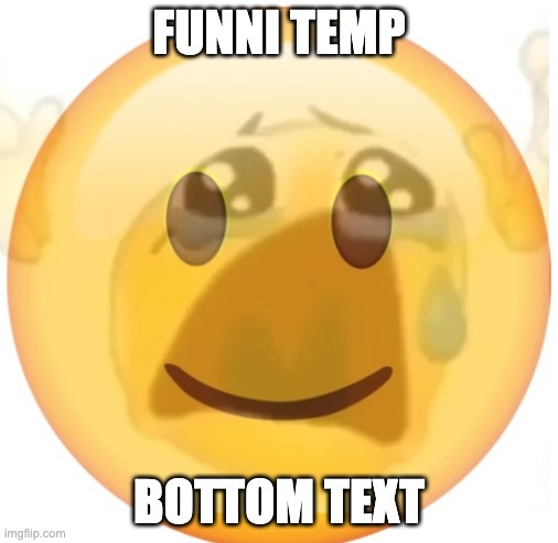 happy emoji on the outside, but crying on the inside | FUNNI TEMP; BOTTOM TEXT | image tagged in happy emoji on the outside but crying on the inside | made w/ Imgflip meme maker