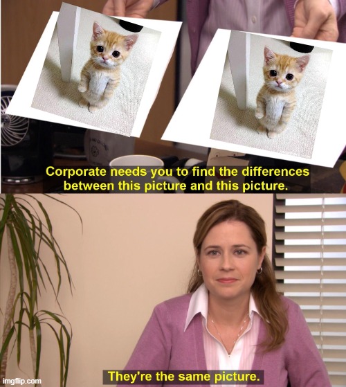 im so stupid ? | image tagged in memes,they're the same picture | made w/ Imgflip meme maker
