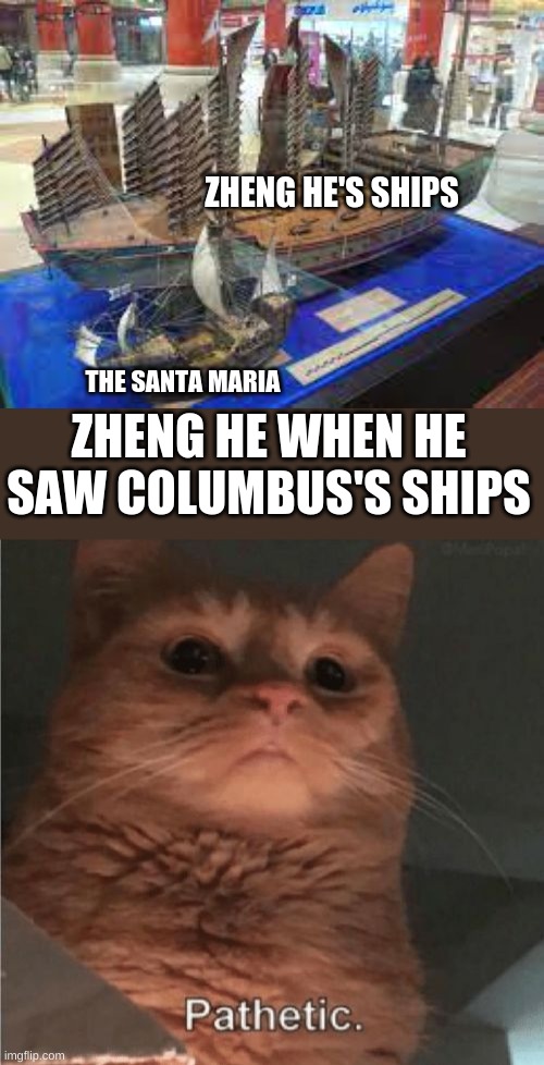 ZHENG HE'S SHIPS; THE SANTA MARIA; ZHENG HE WHEN HE SAW COLUMBUS'S SHIPS | image tagged in pathetic cat | made w/ Imgflip meme maker