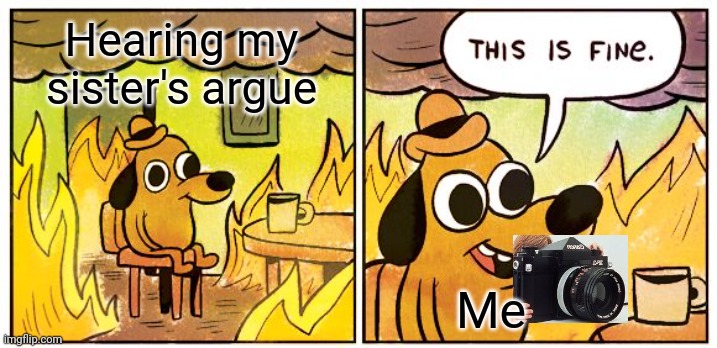 Kids am I right | Hearing my sister's argue; Me | image tagged in memes,this is fine | made w/ Imgflip meme maker