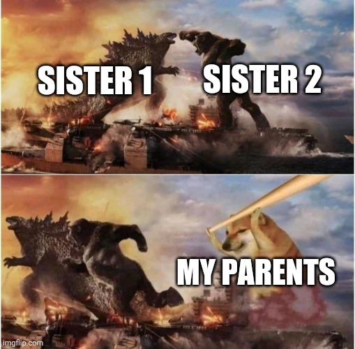 Siblings arguing is hilarious | SISTER 2; SISTER 1; MY PARENTS | image tagged in kong godzilla doge | made w/ Imgflip meme maker