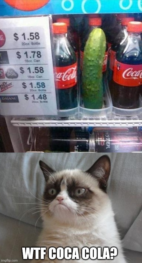 KITTY DON'T LIKE THAT | WTF COCA COLA? | image tagged in memes,grumpy cat bed,cats,funny cats | made w/ Imgflip meme maker