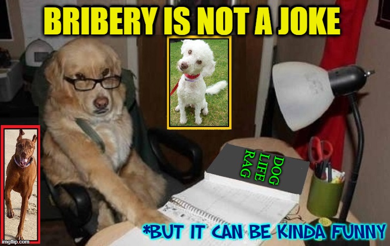 BRIBERY IS NOT A JOKE *BUT IT CAN BE KINDA FUNNY DOG
LIFE
RAG | image tagged in vince vance,dogs,memes,bribery,funny animals,cute dog | made w/ Imgflip meme maker