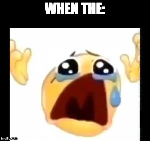 cursed crying emoji | WHEN THE: | image tagged in cursed crying emoji | made w/ Imgflip meme maker