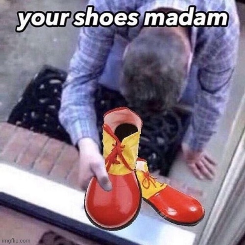 New temp | image tagged in your shoes madam | made w/ Imgflip meme maker