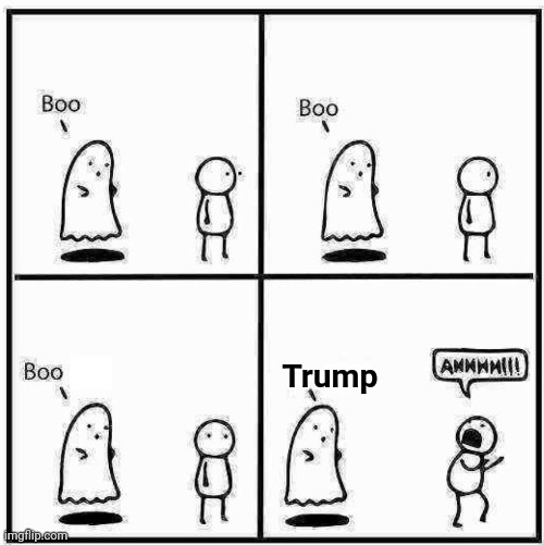 Ghost Boo | Trump | image tagged in ghost boo | made w/ Imgflip meme maker