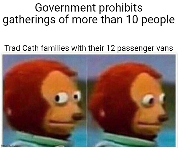 Monkey Puppet Meme | Government prohibits gatherings of more than 10 people Trad Cath families with their 12 passenger vans | image tagged in memes,monkey puppet | made w/ Imgflip meme maker