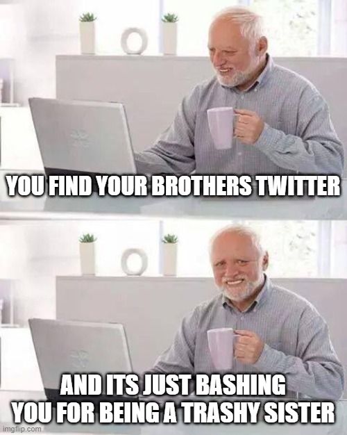 Life with a brother | YOU FIND YOUR BROTHERS TWITTER; AND ITS JUST BASHING YOU FOR BEING A TRASHY SISTER | image tagged in memes,hide the pain harold | made w/ Imgflip meme maker