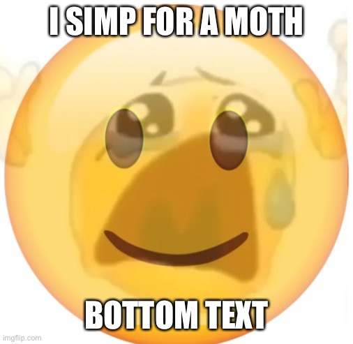 happy emoji on the outside, but crying on the inside | I SIMP FOR A MOTH; BOTTOM TEXT | image tagged in happy emoji on the outside but crying on the inside | made w/ Imgflip meme maker