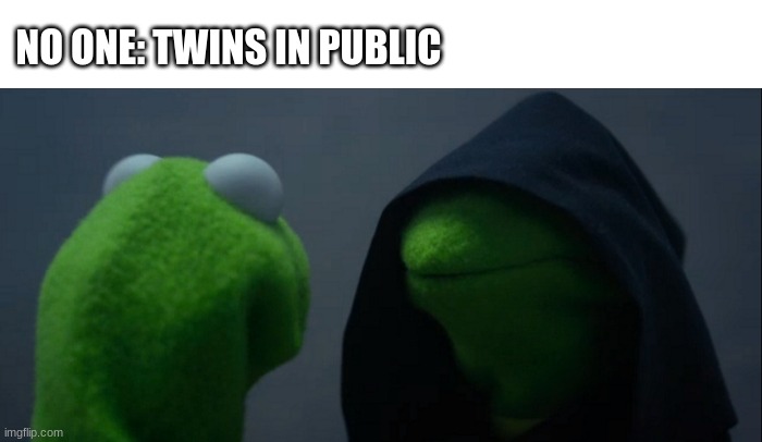 gotta be separate! | NO ONE: TWINS IN PUBLIC | image tagged in memes,evil kermit,funny,fun,funny memes | made w/ Imgflip meme maker